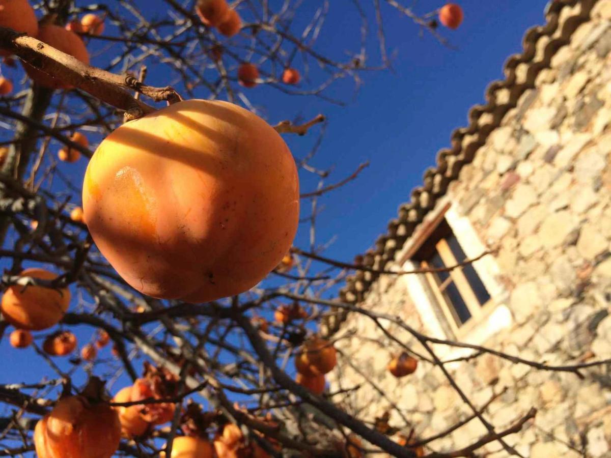 Masia De Vallforners Tagamanent Buitenkant foto