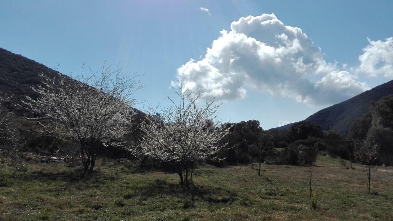 Masia De Vallforners Tagamanent Buitenkant foto