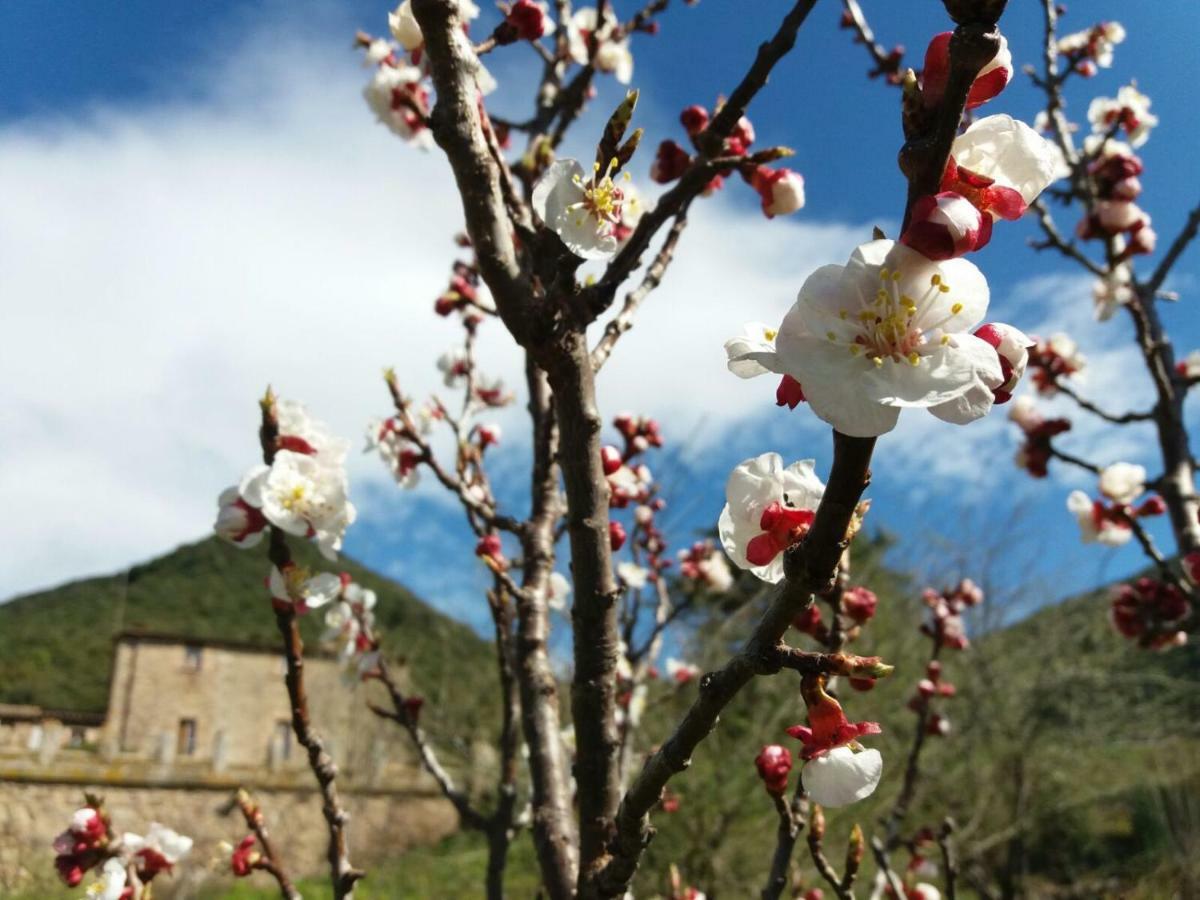 Masia De Vallforners Tagamanent Buitenkant foto